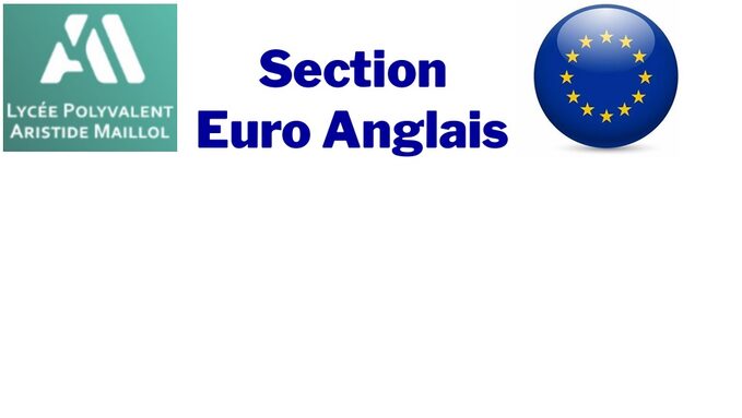logo euro anglais.jpg