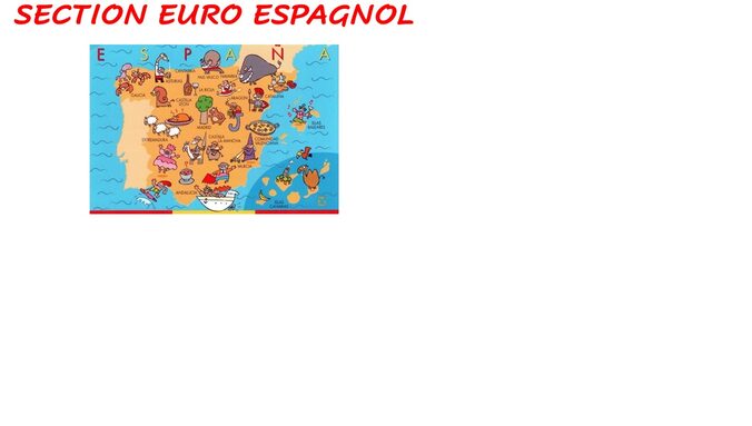 logo euro espagnol maillol.jpg